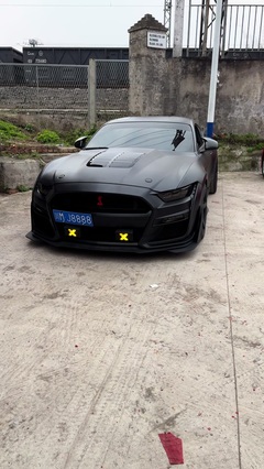 爽哥與黑帥 汽車(chē)人的速度與激情
